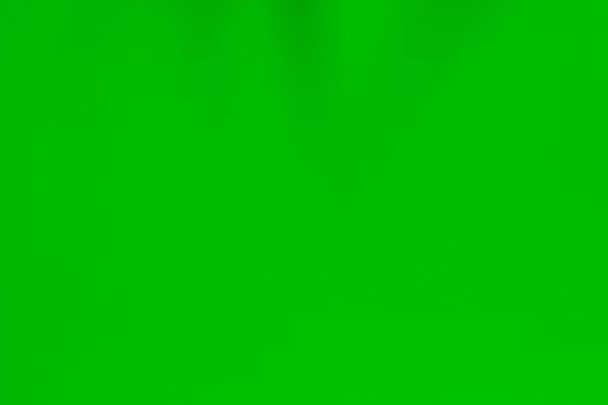 Van de Filmpvc van het gras Groen Berijpt Decoratief Glazen venster het Gezichtsmateriaal