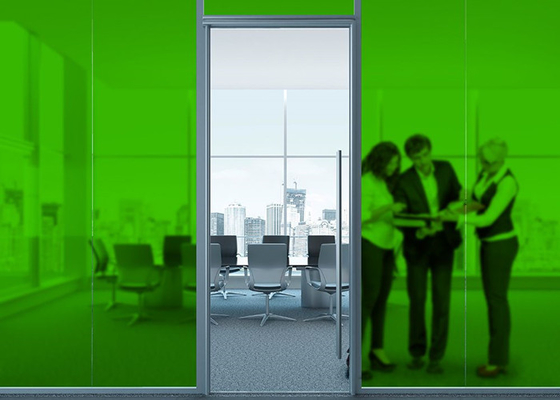 Van de Filmpvc van het gras Groen Berijpt Decoratief Glazen venster het Gezichtsmateriaal