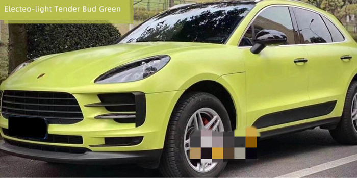 HUISDIER Swipeable 60µM de Duidelijke Verwijderbare Acrylkleefstof van Light Bud Green Car Vinyl Wrap